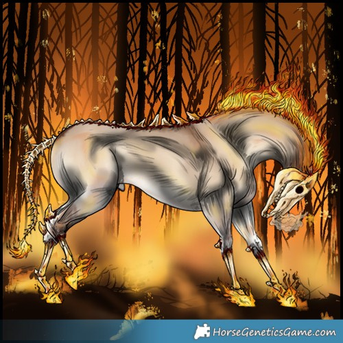 Horse Color:Void Red Dun Onyx 