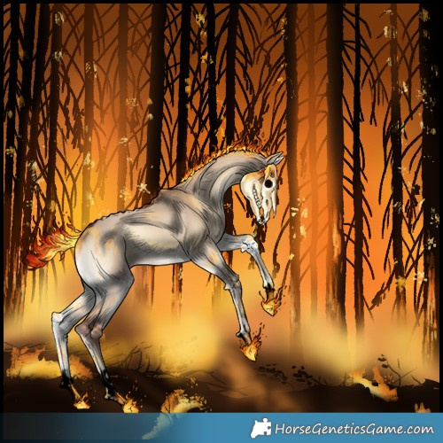 Horse Color:Void Red Dun Onyx