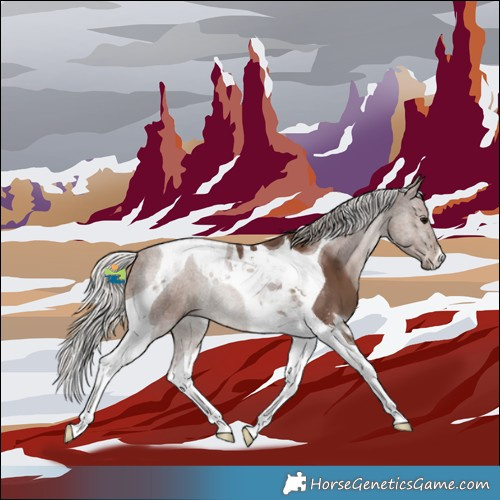 Horse Color:Silver Black Tobiano 