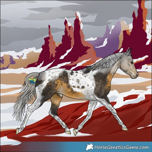 Horse Color:Silver Buckskin Tobiano 