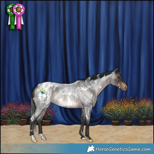 Horse Color:White Spotted Brown Roan Blanket Rabicano 