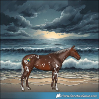 Horse Color:White Spotted Silver Brown Sabino Rabicano 