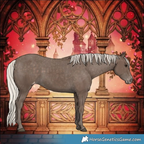 Horse Color:Silver Black Varnish 