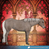 Horse Color:Silver Black Appaloosa