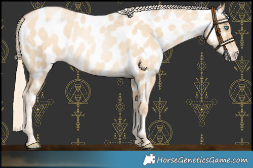 Horse Color:Gold Cream Champagne Pearl Dun Near Leopard 