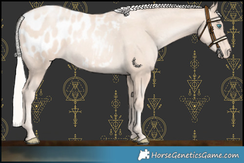 Horse Color:Gold Cream Champagne Pearl Blanket 