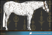 Horse Color:Silver Smoky Black Near Leopard 