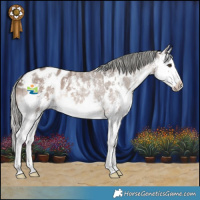 Horse Color:White Spotted Liver Red Dun Mushroom Sabino Splash Varnish 