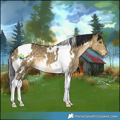 Horse Color:White Spotted Buckskin Dun Mushroom Tobiano 