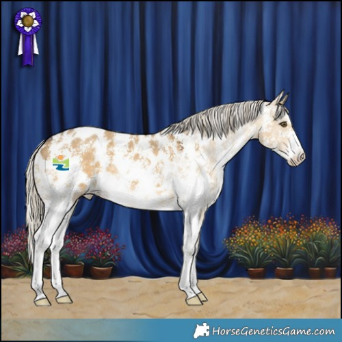 Horse Color:Chocolate Palomino Dun Mushroom Sabino Appaloosa 