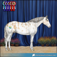 Horse Color:Chocolate Palomino Dun Mushroom Sabino Blanket 