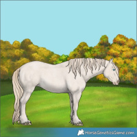 Horse Color:Smoky Creme Roan 