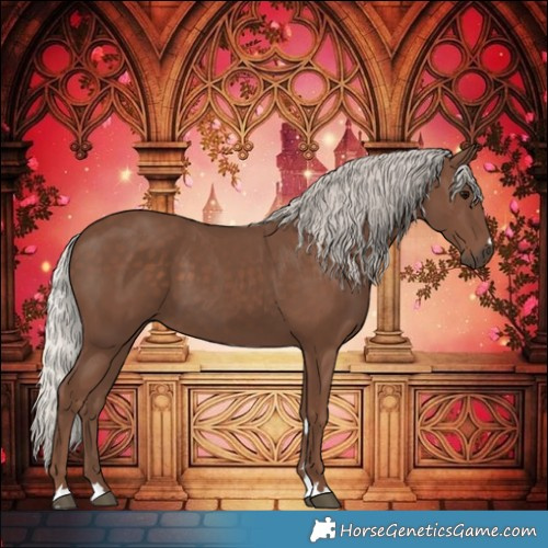 Horse Color:Silver Black
