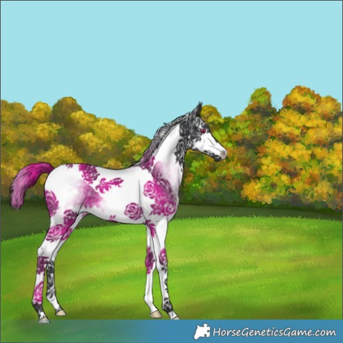 Horse Color:White Spotted Black Splash Tobiano 