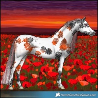 Horse Color:Painted White Spotted Black Splash Tobiano
