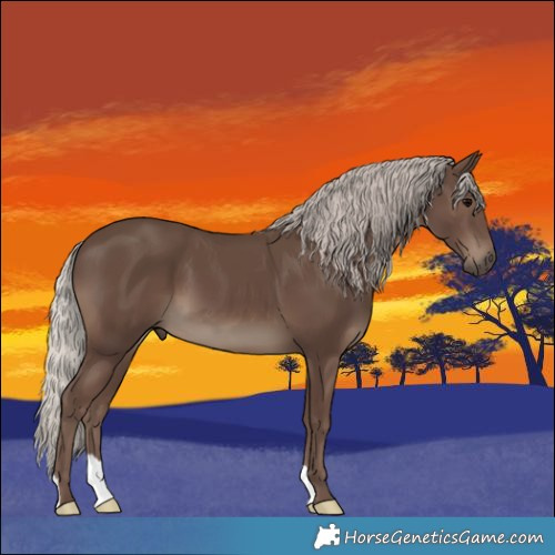 Horse Color:Silver Black 