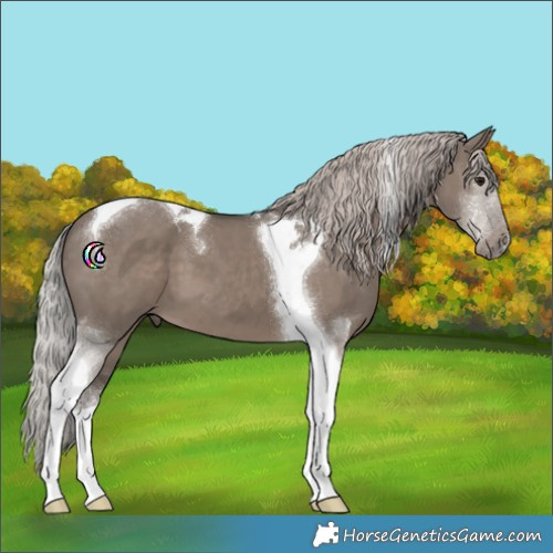 Horse Color:Silver Grullo Mushroom Tobiano 