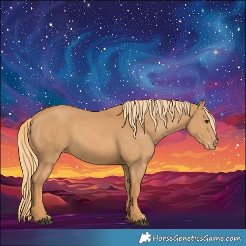 Horse Color:Chestnut Appaloosa 
