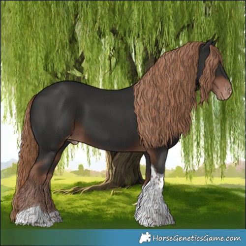 Horse Color:Liver Chestnut Tobiano Appaloosa Rabicano 