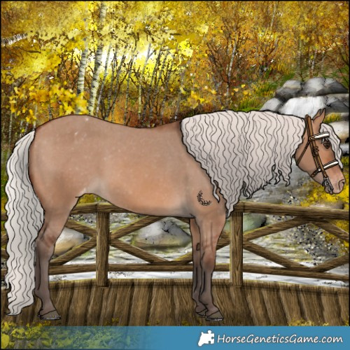 Horse Color:Silver Brown Dun Varnish Rabicano 