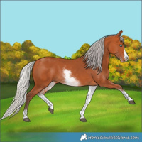 Horse Color:White Spotted Silver Bay Splash