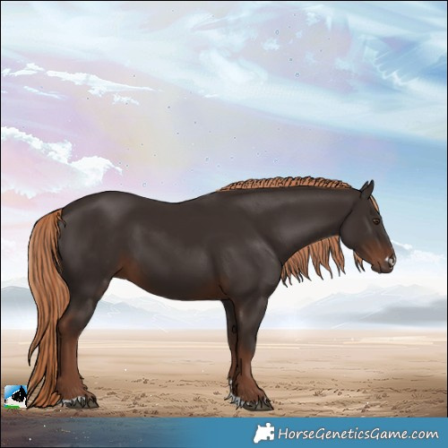 Horse Color:Liver Chestnut 