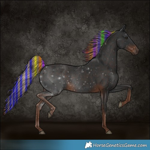Horse Color:Painted Liver Chestnut Rabicano 