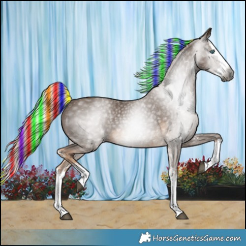Horse Color:Gray Painted Chocolate Palomino Sabino Splash Rabicano 