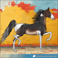 Horse Color:Brown Sabino Tobiano