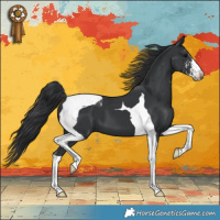 Horse Color:Black Sabino Tobiano