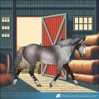 Horse Color:Gray Bay