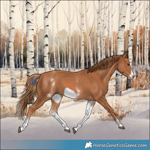 Horse Color:White Spotted Chestnut Frame
