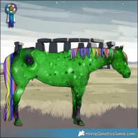 Horse Color:ERROR: UNKNOWN ANOMALY