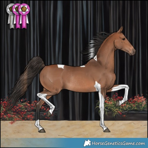 Horse Color:Bay Tobiano Rabicano 