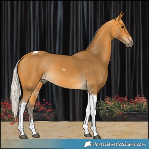 Horse Color:Silver Buckskin Tobiano Rabicano 