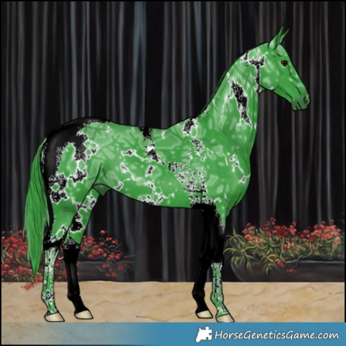 Horse Color:Watercolor White Spotted Black Ice Tobiano