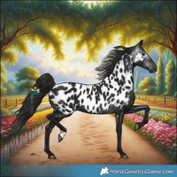 Horse Color:Gray Smoky Black Near Leopard Rabicano
