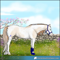Horse Color:Smoky Grullo Pearl Splash Tobiano 