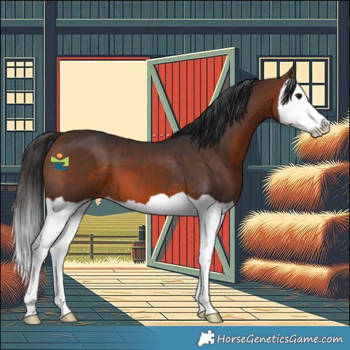 Horse Color:Brown Splash 