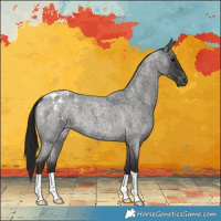 Horse Color:Gray Blue Roan Blanket