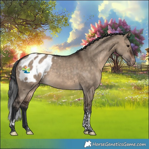 Horse Color:Brown Dun Tobiano Appaloosa Rabicano 