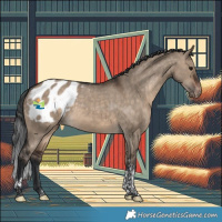 Horse Color:Brown Dun Tobiano Blanket Rabicano