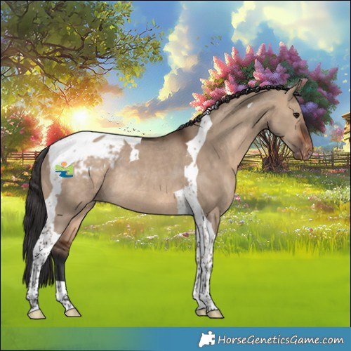 Horse Color:Brown Dun Tobiano Appaloosa Rabicano