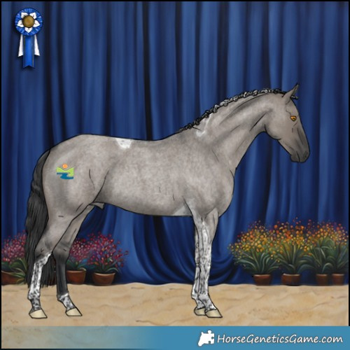 Horse Color:Grullo Roan Tobiano Rabicano