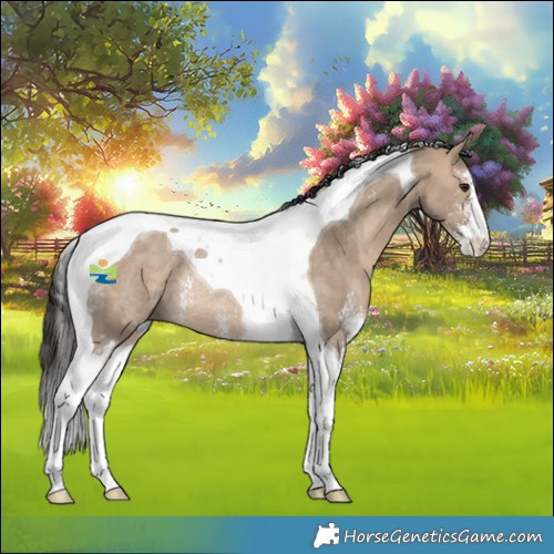 Horse Color:Bay Dun Sabino Tobiano Rabicano 