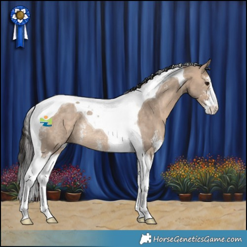 Horse Color:Bay Dun Sabino Tobiano Rabicano 