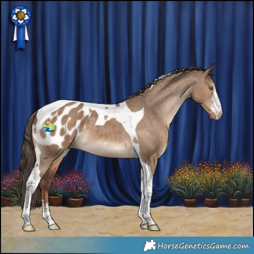 Horse Color:Liver Red Dun Sabino Tobiano Appaloosa Rabicano