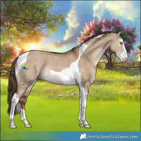 Horse Color:Liver Red Dun Sabino Tobiano Rabicano 