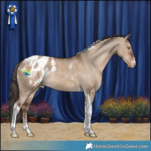 Horse Color:Liver Red Dun Sabino Tobiano Appaloosa Rabicano 