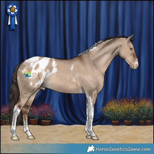 Horse Color:Liver Red Dun Sabino Tobiano Blanket Rabicano 